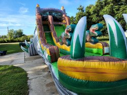 18ft Dino Slide