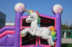 received 195781836909589 1705870757 Unicorn Combo